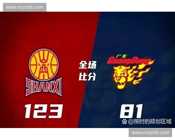 外援制度对职业联赛发展模式与竞技水平提升的深远影响研究