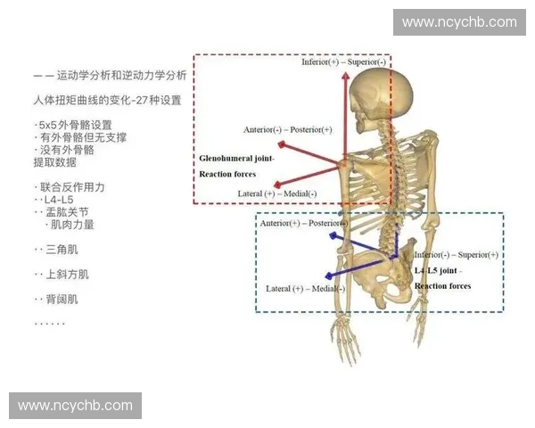 运动生物力学视角下人体运动效率与损伤预防的机制研究 运动生物力学视角下人体运动效率与损伤预防的机制研究